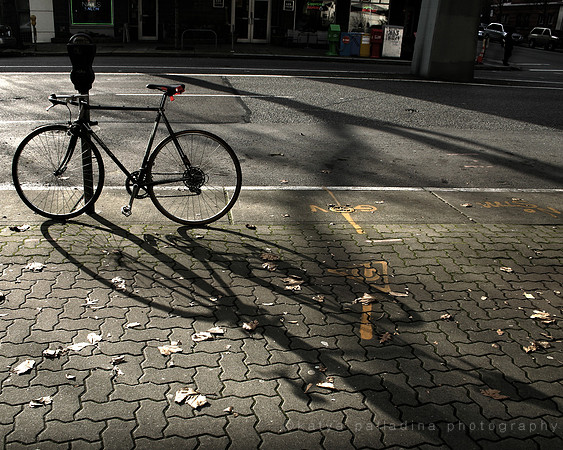 Autumn shadows