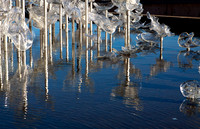 Tacoma Glass Museum