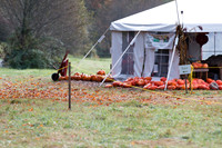 Oxbow Farm with toddlers