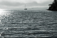 Tzarus Island